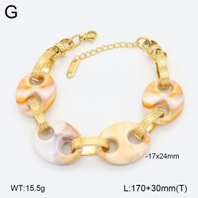 2B3004383vbnl-434  Stainless Steel Bracelet