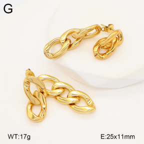 2E2006600vbnb-434  Stainless Steel Earrings