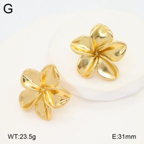 2E2006601vbmb-434  Stainless Steel Earrings