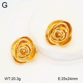 2E2006602vbmb-434  Stainless Steel Earrings