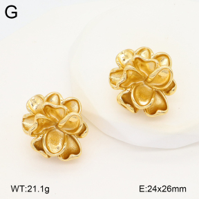 2E2006603vbmb-434  Stainless Steel Earrings