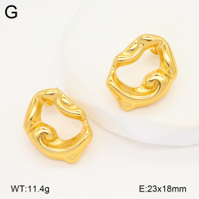 2E2006604vbmb-434  Stainless Steel Earrings