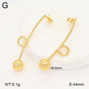 2E2006605aakl-434  Stainless Steel Earrings