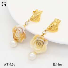 2E3003911vbmb-434  Stainless Steel Earrings