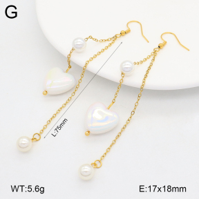 2E3003912vbmb-434  Stainless Steel Earrings