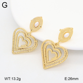 2E3003913vbll-434  Stainless Steel Earrings