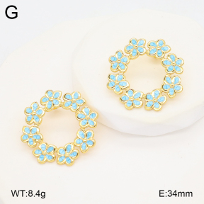 2E3003914baka-434  Stainless Steel Earrings