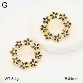 2E3003915baka-434  Stainless Steel Earrings