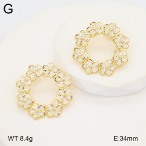 2E3003916baka-434  Stainless Steel Earrings