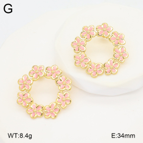 2E3003917baka-434  Stainless Steel Earrings