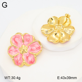 2E3003919vbmb-434  Stainless Steel Earrings