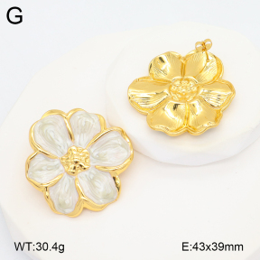 2E3003920vbmb-434  Stainless Steel Earrings