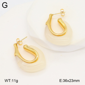 2E4004819bbov-434  Stainless Steel Earrings