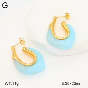 2E4004820bbov-434  Stainless Steel Earrings