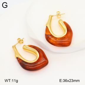 2E4004821bbov-434  Stainless Steel Earrings