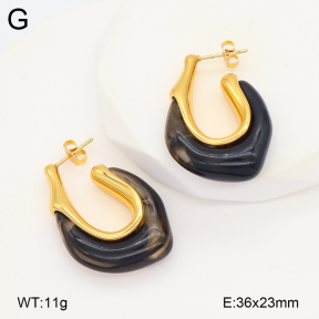 2E4004822bbov-434  Stainless Steel Earrings