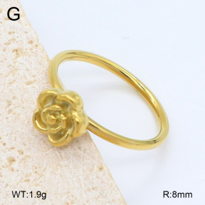 2R2002134vbll-201  5-10#  Stainless Steel Ring