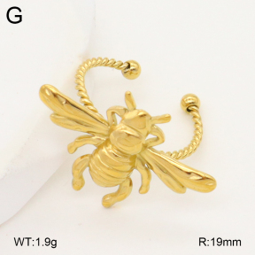 2R2002171aajl-434  Stainless Steel Ring