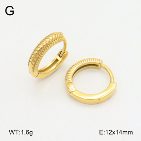 2E2006606vhha-226  Stainless Steel Earrings