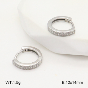 2E2006607vbpb-226  Stainless Steel Earrings
