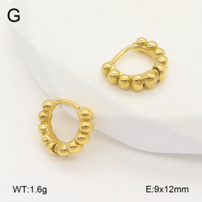 2E2006608bhia-226  Stainless Steel Earrings