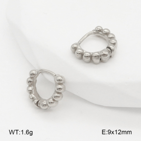 2E2006609bhva-226  Stainless Steel Earrings