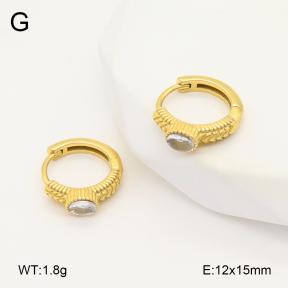 2E4004823ahjb-226  Stainless Steel Earrings