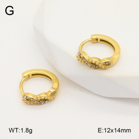 2E4004824vhkb-226  Stainless Steel Earrings