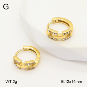 2E4004825vhkb-226  Stainless Steel Earrings