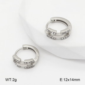 2E4004826bhia-226  Stainless Steel Earrings