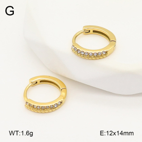 2E4004827ahjb-226  Stainless Steel Earrings