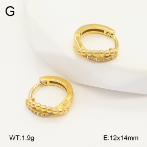 2E4004828ahjb-226  Stainless Steel Earrings