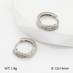 2E4004829vhha-226  Stainless Steel Earrings