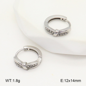 2E4004830vhha-226  Stainless Steel Earrings