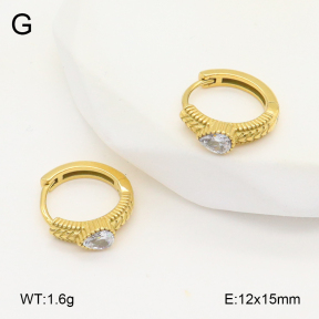 2E4004831ahjb-226  Stainless Steel Earrings