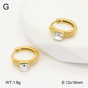 2E4004833vhkb-226  Stainless Steel Earrings