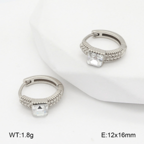2E4004834bhia-226  Stainless Steel Earrings