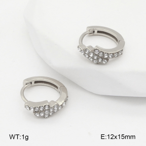 2E4004836bhia-226  Stainless Steel Earrings