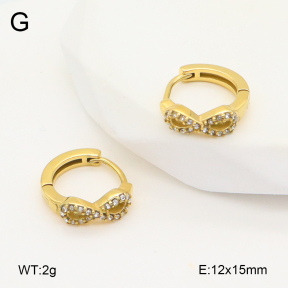 2E4004837vhkb-226  Stainless Steel Earrings