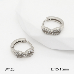 2E4004838bhia-226  Stainless Steel Earrings