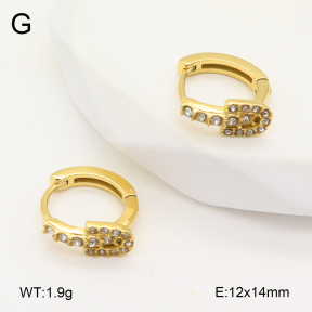 2E4004839vhkb-226  Stainless Steel Earrings