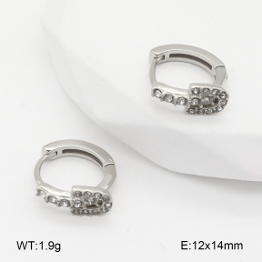 2E4004840bhia-226  Stainless Steel Earrings
