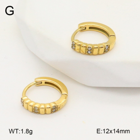 2E4004841ahjb-226  Stainless Steel Earrings