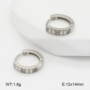 2E4004842vhha-226  Stainless Steel Earrings