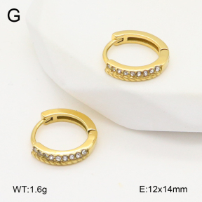 2E4004843ahjb-226  Stainless Steel Earrings
