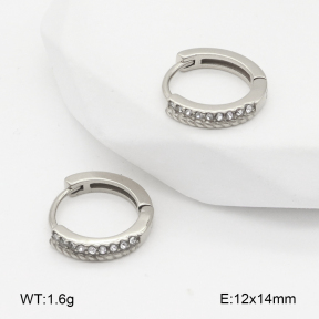 2E4004844vhha-226  Stainless Steel Earrings