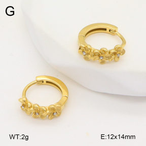 2E4004845bhia-226  Stainless Steel Earrings
