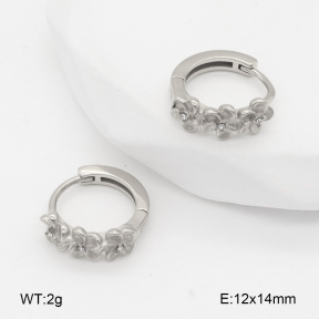 2E4004846bhva-226  Stainless Steel Earrings