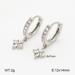 2E4004848ahjb-226  Stainless Steel Earrings