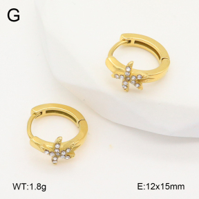 2E4004849ahjb-226  Stainless Steel Earrings